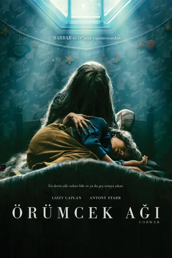 Örümcek Ağı İndir posteri