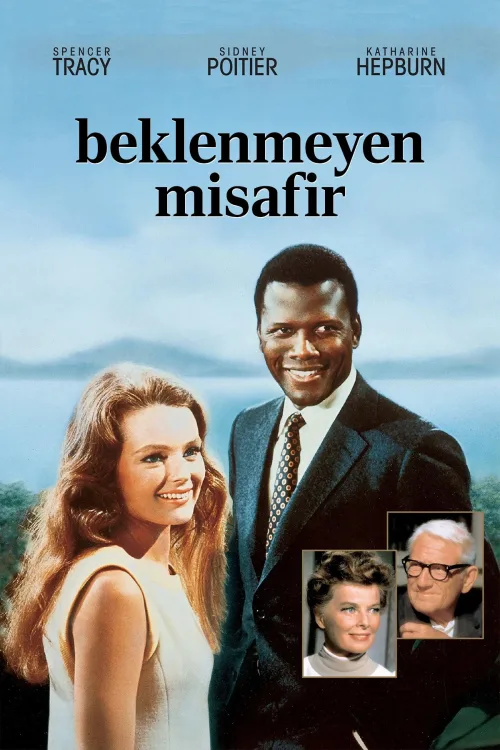 Beklenmeyen Misafir İndir posteri