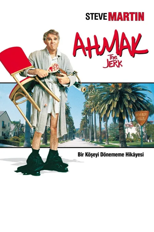 Ahmak İndir posteri