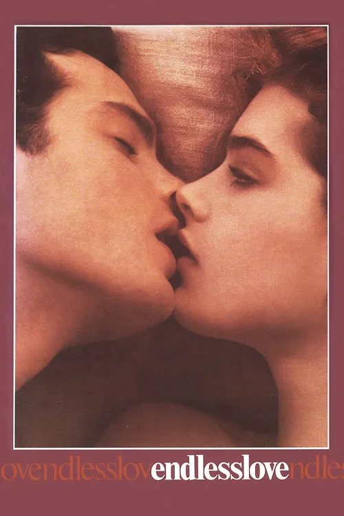 Sonsuz Aşk İndir posteri