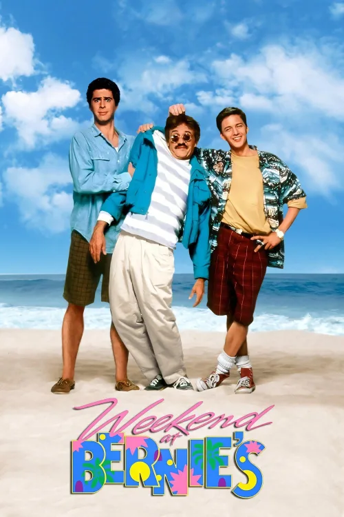 Çılgın Tatil İndir posteri