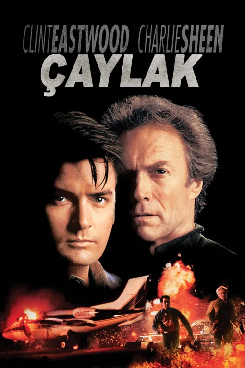 Çaylak İndir posteri