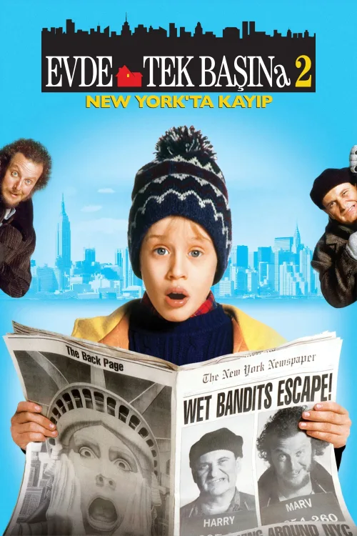 Evde Tek Başına 2 İndir posteri
