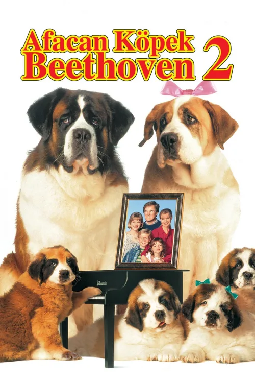 Afacan Köpek Beethoven 2 İndir