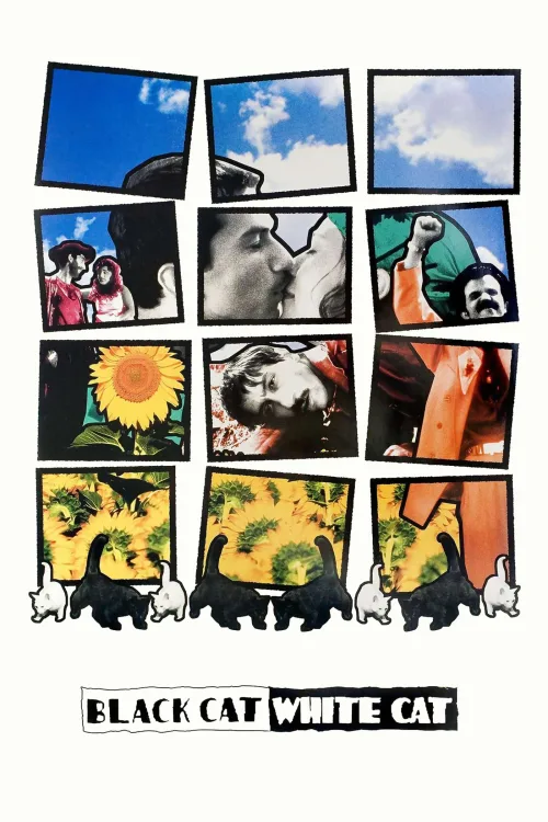 Kara Kedi, Ak Kedi İndir posteri