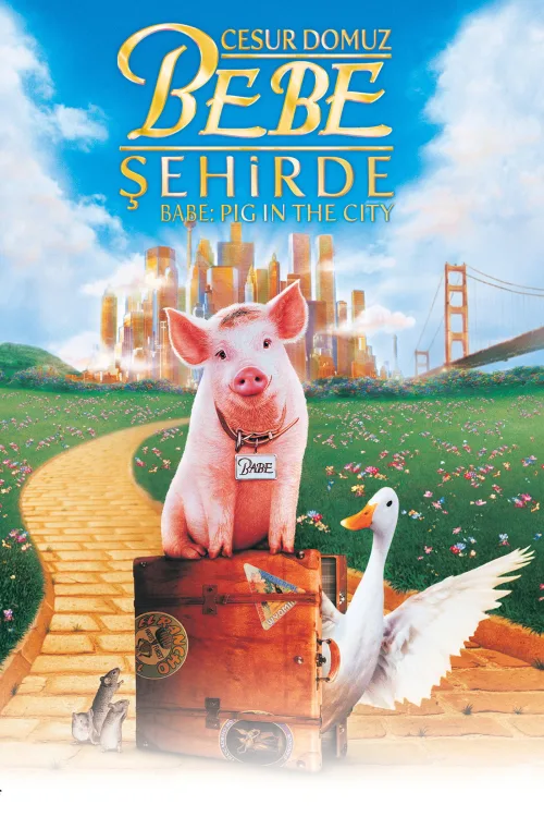 Babe Şehirde İndir posteri