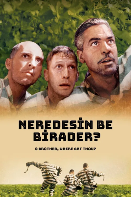 Neredesin Be Birader? İndir posteri