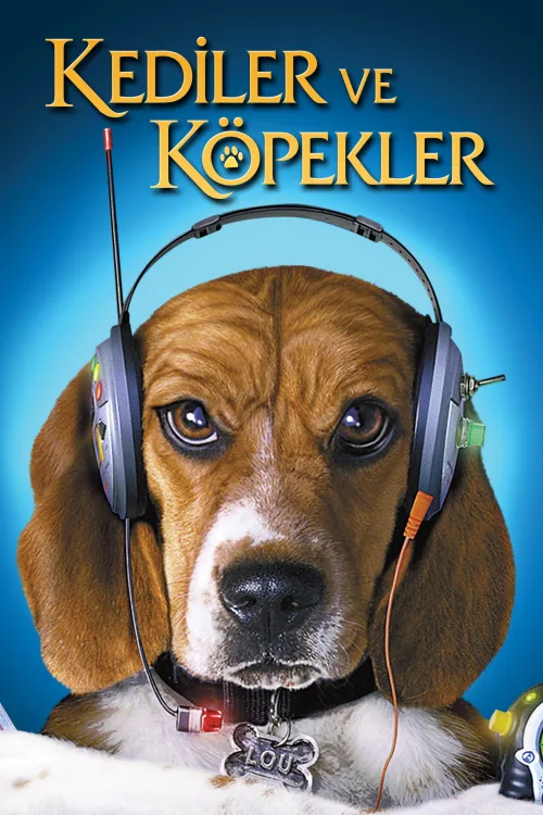 Kediler ve Köpekler İndir