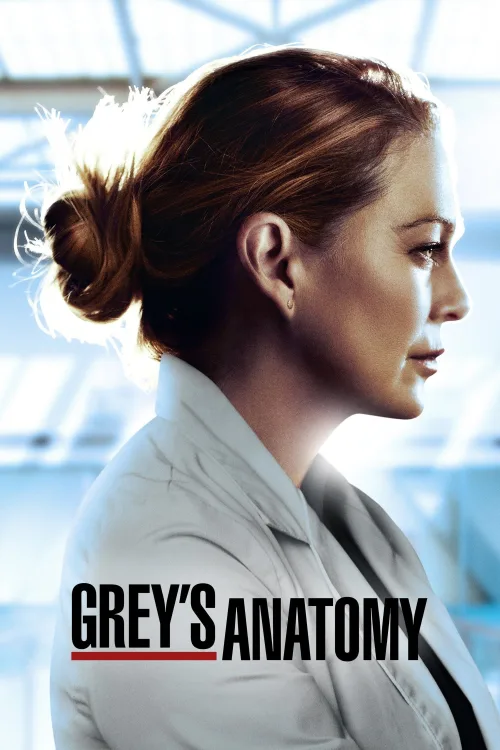 Grey's Anatomy İndir posteri