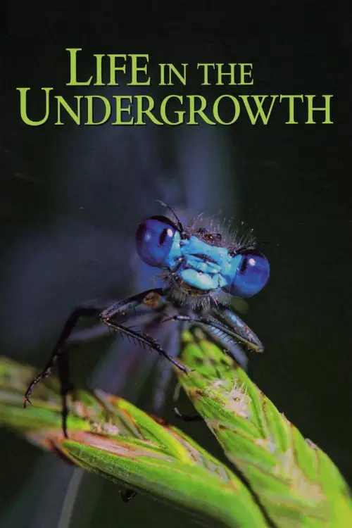 Life in the Undergrowth İndir posteri