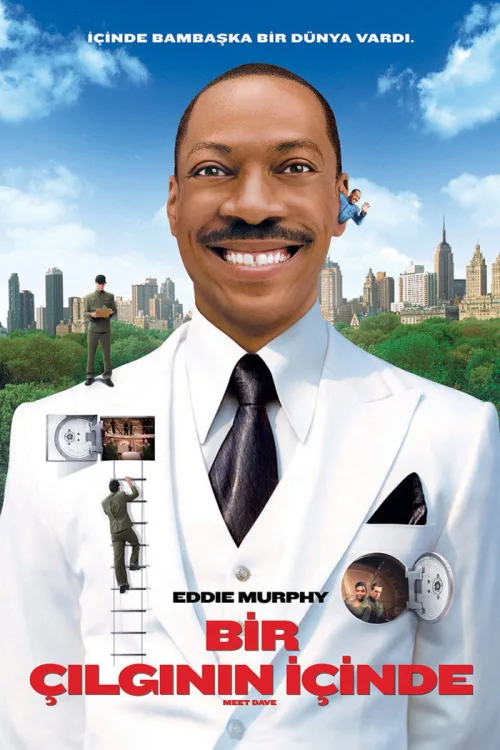 Bir Çılgının İçinde İndir posteri