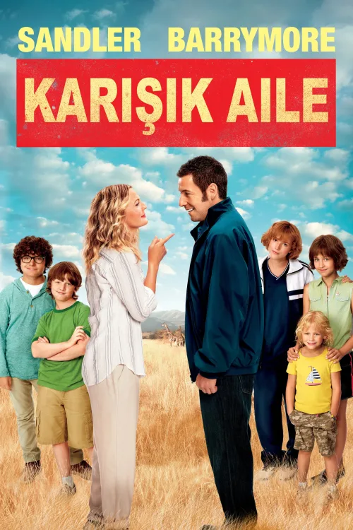 Karışık Aile İndir posteri