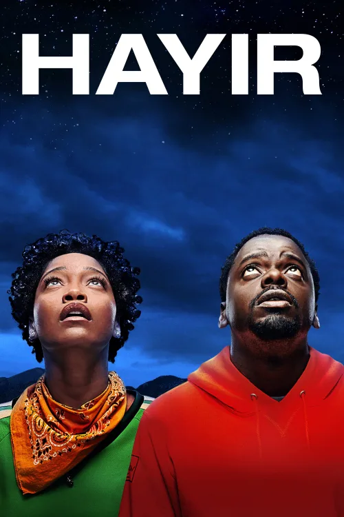 Hayır İndir posteri