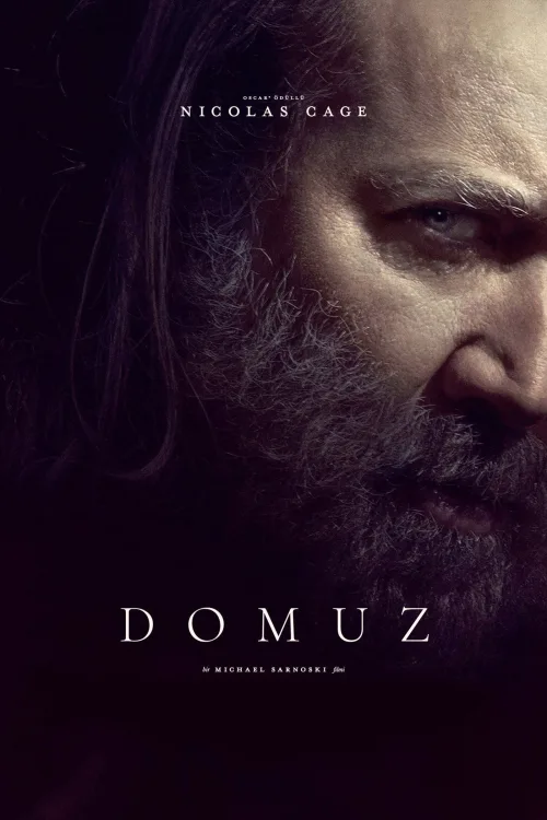 Domuz İndir posteri