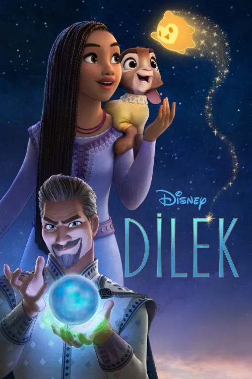 Dilek İndir posteri