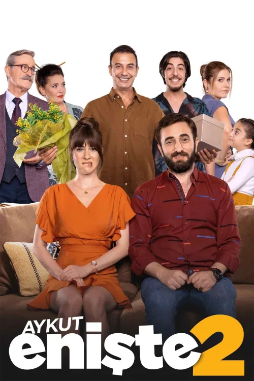 Aykut Enişte 2 İndir posteri