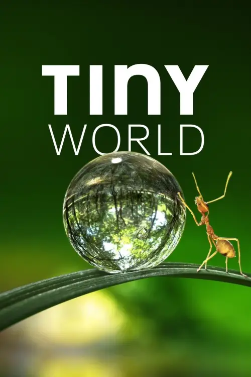 Tiny World 1080p Altyazılı İndir posteri
