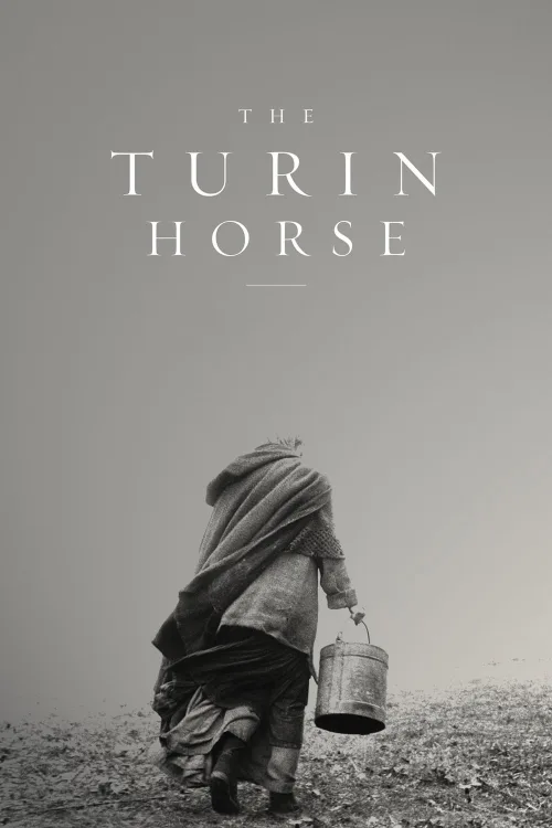 Torino Atı İndir posteri