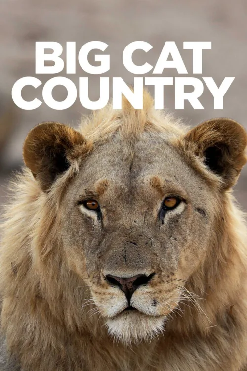 Big Cat Country 1080p İndir posteri