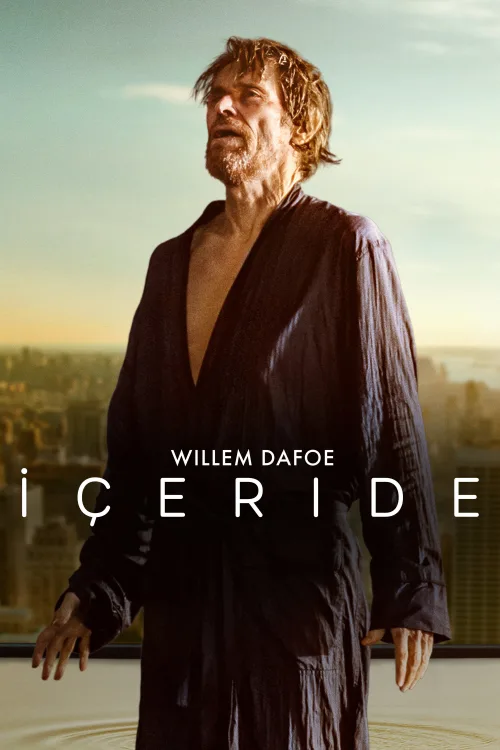 İçeride İndir posteri