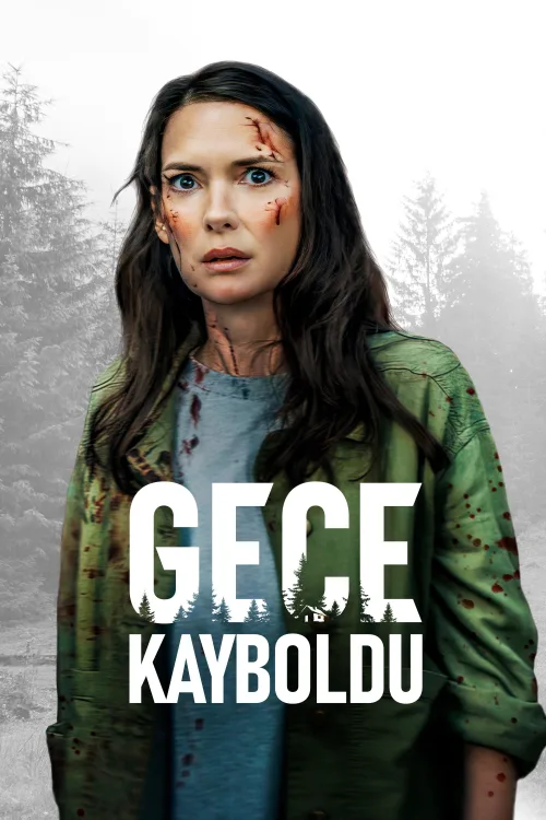 Gecede Kaybolmak./ Gone in the Night İndir posteri