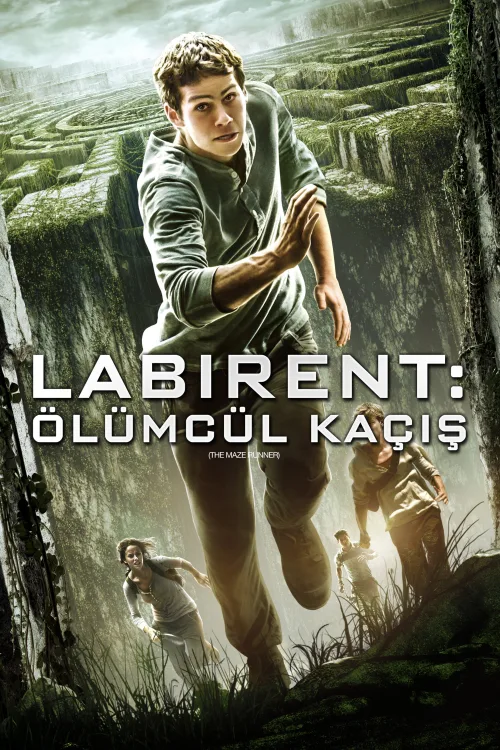 Labirent: Ölümcül Kaçış İndir posteri