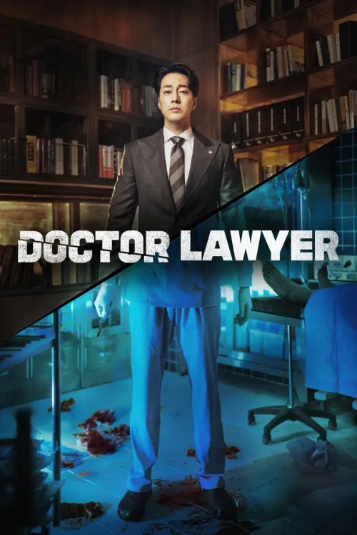 Doktor Avukat 1080p İndir posteri