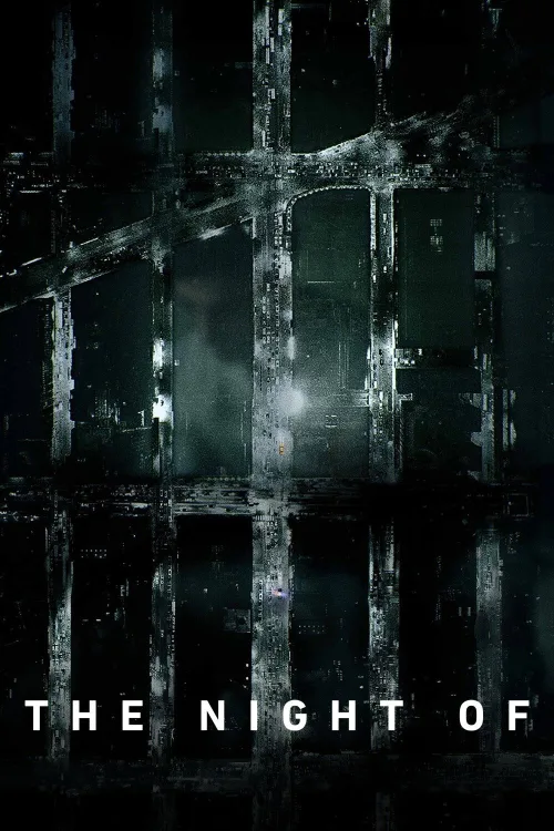 The Night Of 1080p İndir posteri