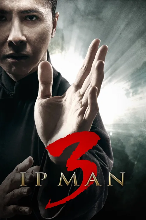 Ip Man 3 İndir posteri