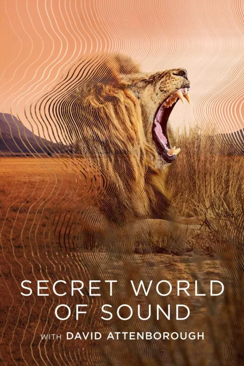 Secret World of Sound 1080p İndir posteri