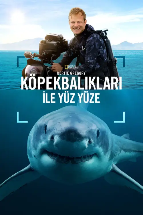 Bertie Gregory Köpekbalıkları ile Yüz Yüze posteri