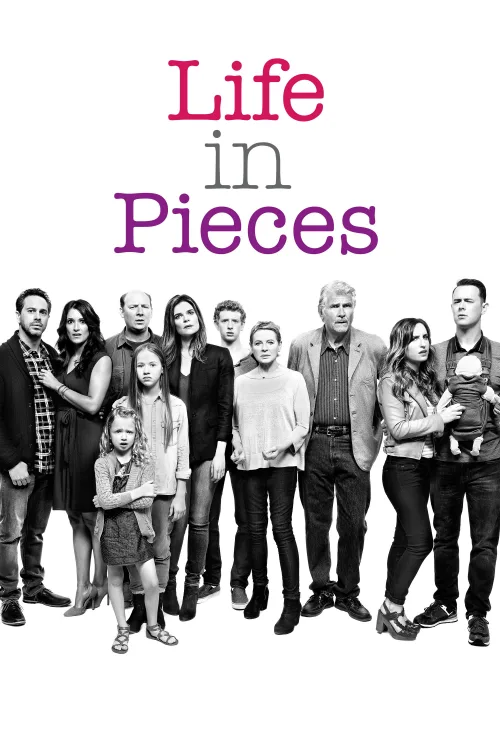 Life in Pieces 1080p İndir posteri