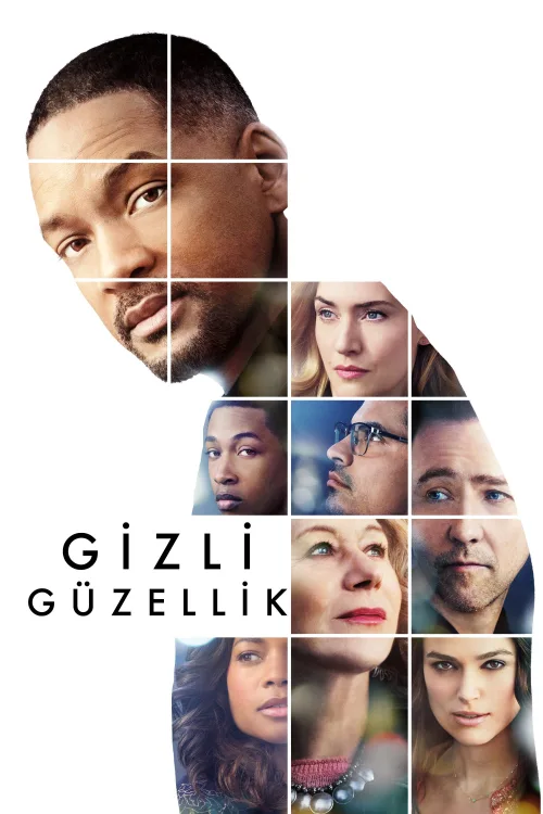 Gizli Güzellik İndir posteri