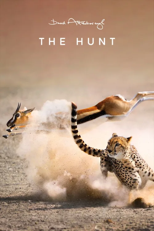 The Hunt 1080p İndir posteri