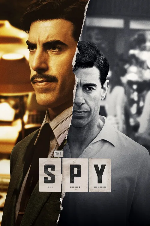The Spy İndir posteri
