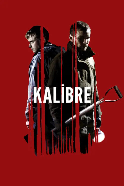 Kalibre İndir
