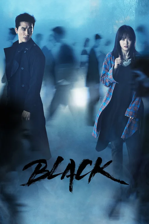 Black 1080p İndir posteri