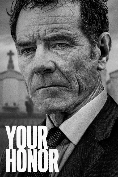 Sayın Yargıç İndir posteri