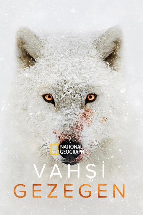 Vahşi Gezegen 1080p İndir posteri
