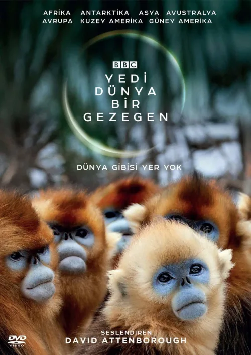 Yedi Dünya, Bir Gezegen İndir posteri