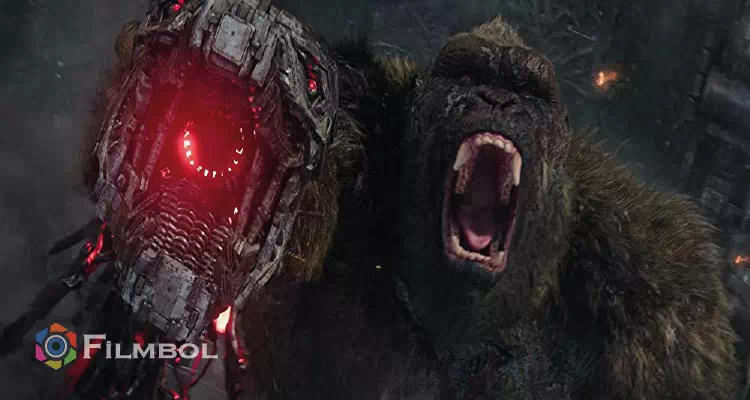  Godzilla vs. Kong 