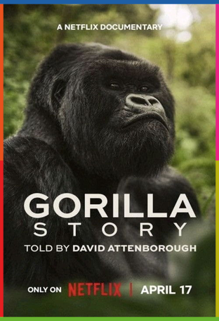 A Gorilla Story: Told by David Attenborough İndir