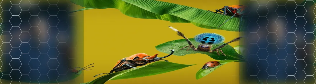 Gerçek Bir Böceğin Yaşamı 1080p İndir