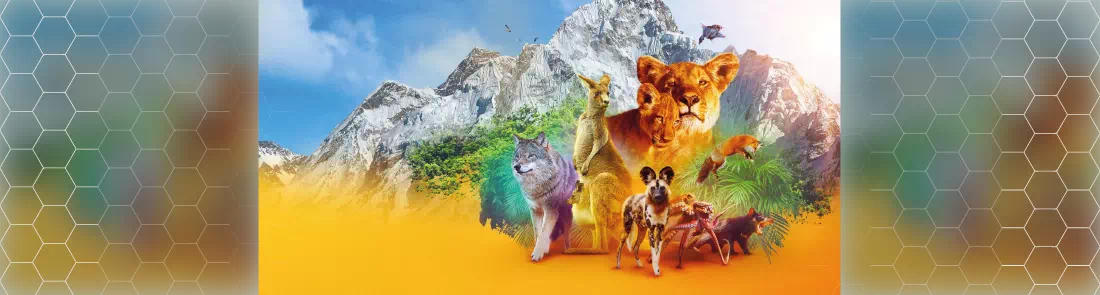 Hayvanların Sırları 1080p İndir