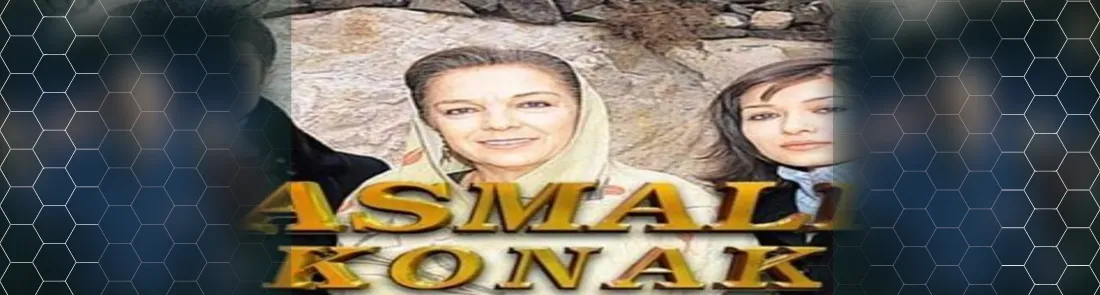 Asmalı Konak 1080p İndir