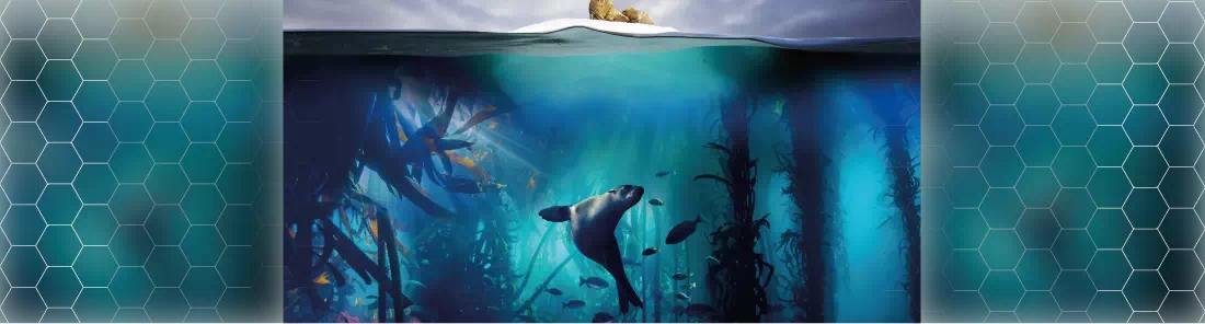 Blue Planet II 1080p İndir