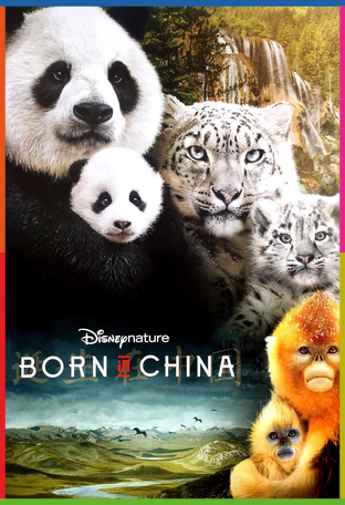 Born in China İndir