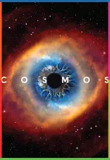Cosmos: A Spacetime Odyssey İndir