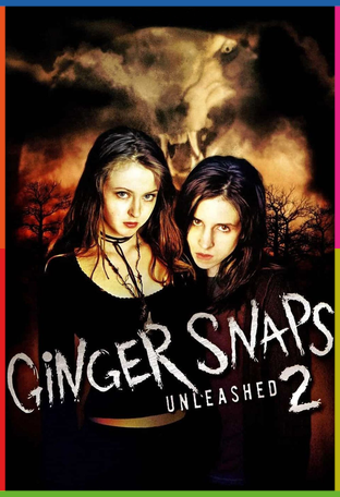 Kurtkızlar Serbest Kaldı İndir