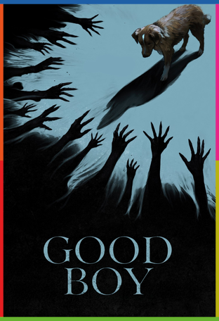 Good Boy İndir
